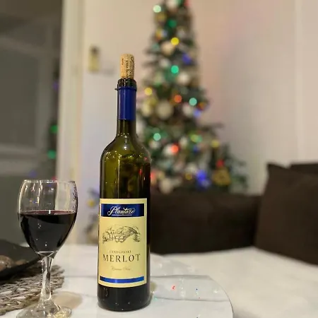 Uzivajte U Mirnom I Elegantnom Smjestaju