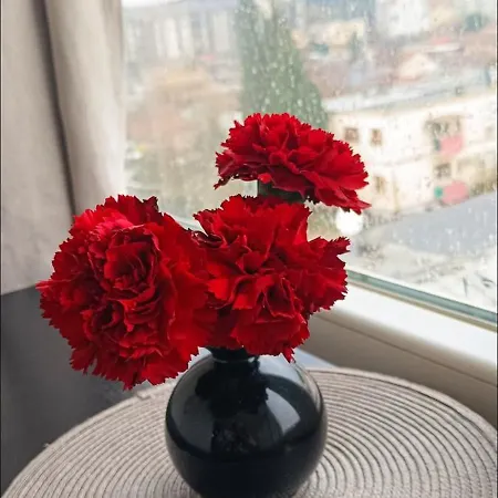 Uzivajte U Mirnom I Elegantnom Smjestaju Daire