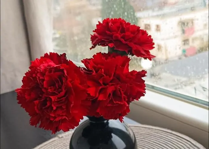 Uzivajte U Mirnom I Elegantnom Smjestaju Daire